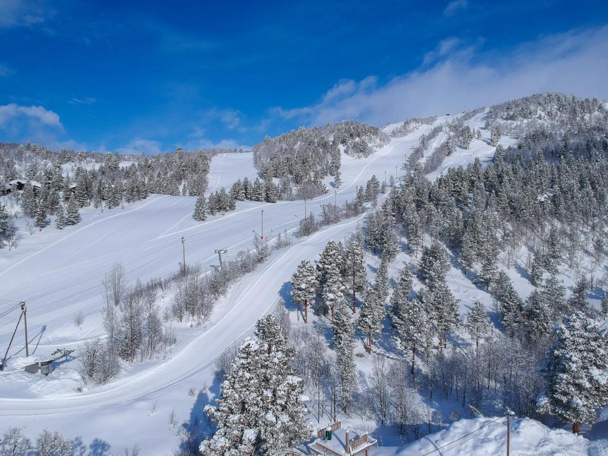 Bjornfjell Mountain Lodge Άλτα Εξωτερικό φωτογραφία